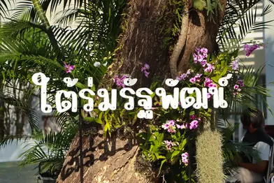 คณะรัฐศาสตร์และสังคมศาสตร์จัดกิจกรรมพัฒนาและปรับปรุงสวนของคณะฯ และโครงการเปิดสวน “ใต้ร่มรัฐพัฒน์”