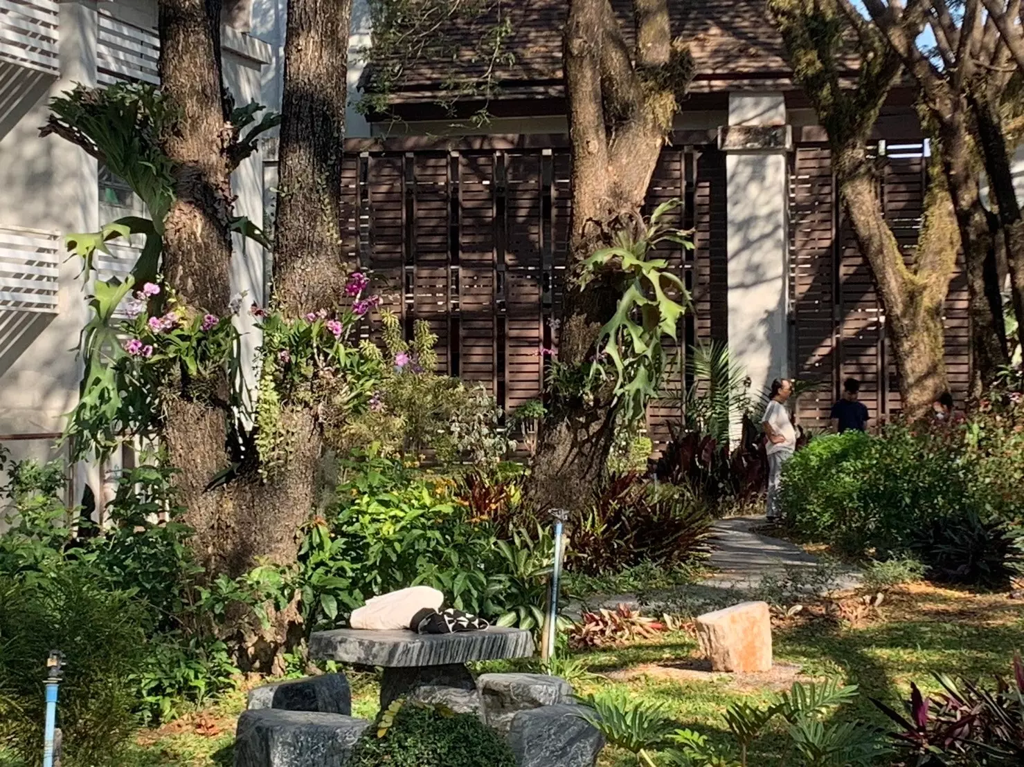 คณะรัฐศาสตร์และสังคมศาสตร์จัดกิจกรรมพัฒนาและปรับปรุงสวนของคณะฯ และโครงการเปิดสวน “ใต้ร่มรัฐพัฒน์”