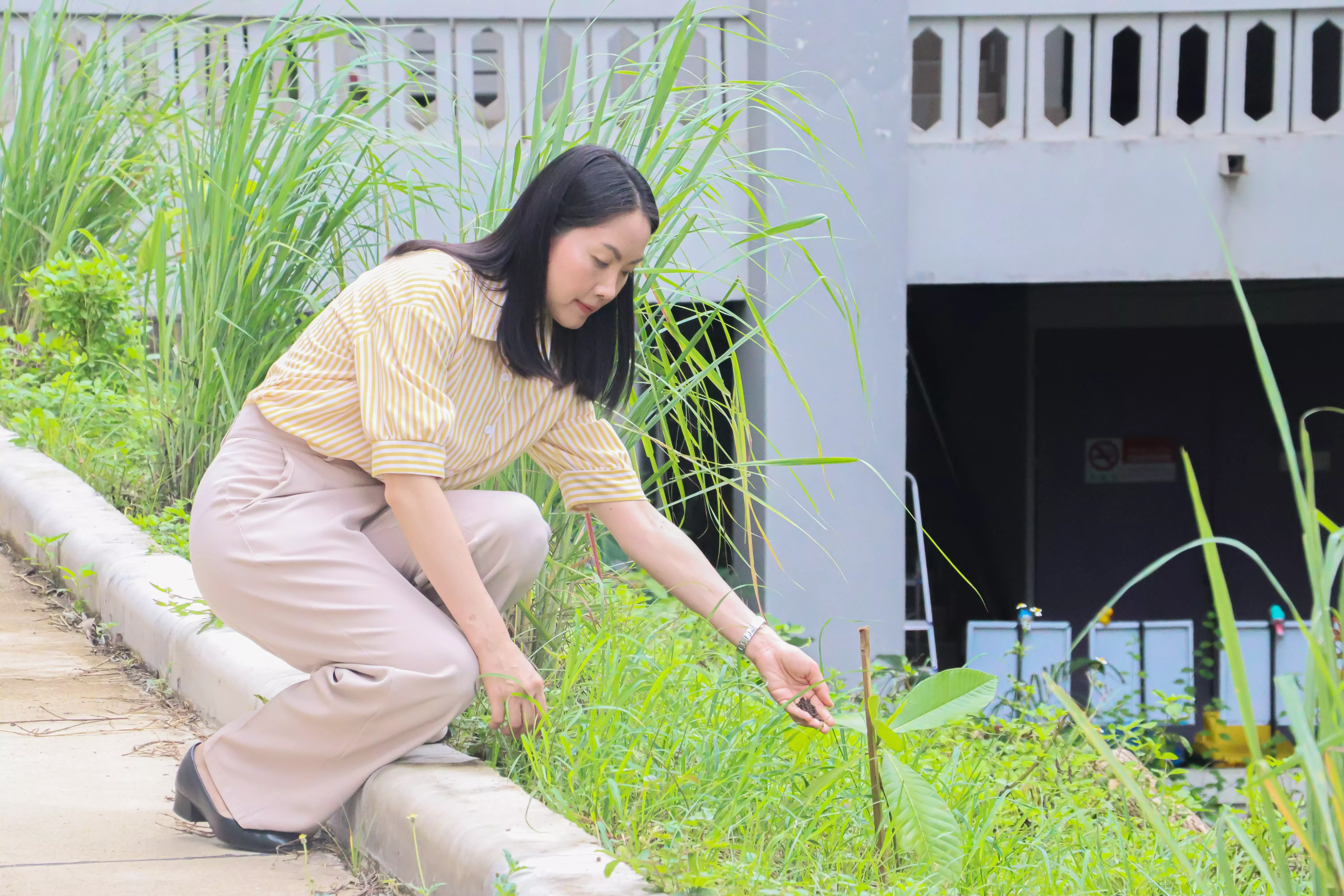ณะรัฐศาสตร์และสังคมศาสตร์ ร่วมกิจกรรมจิตอาสาเพื่อเฉลิมพระเกียรติพระบาทสมเด็จพระเจ้าอยู่หัว เนื่องในโอกาสมหามงคลเฉลิมพระชมพรรษา 6 รอบ 72 พรรษา
