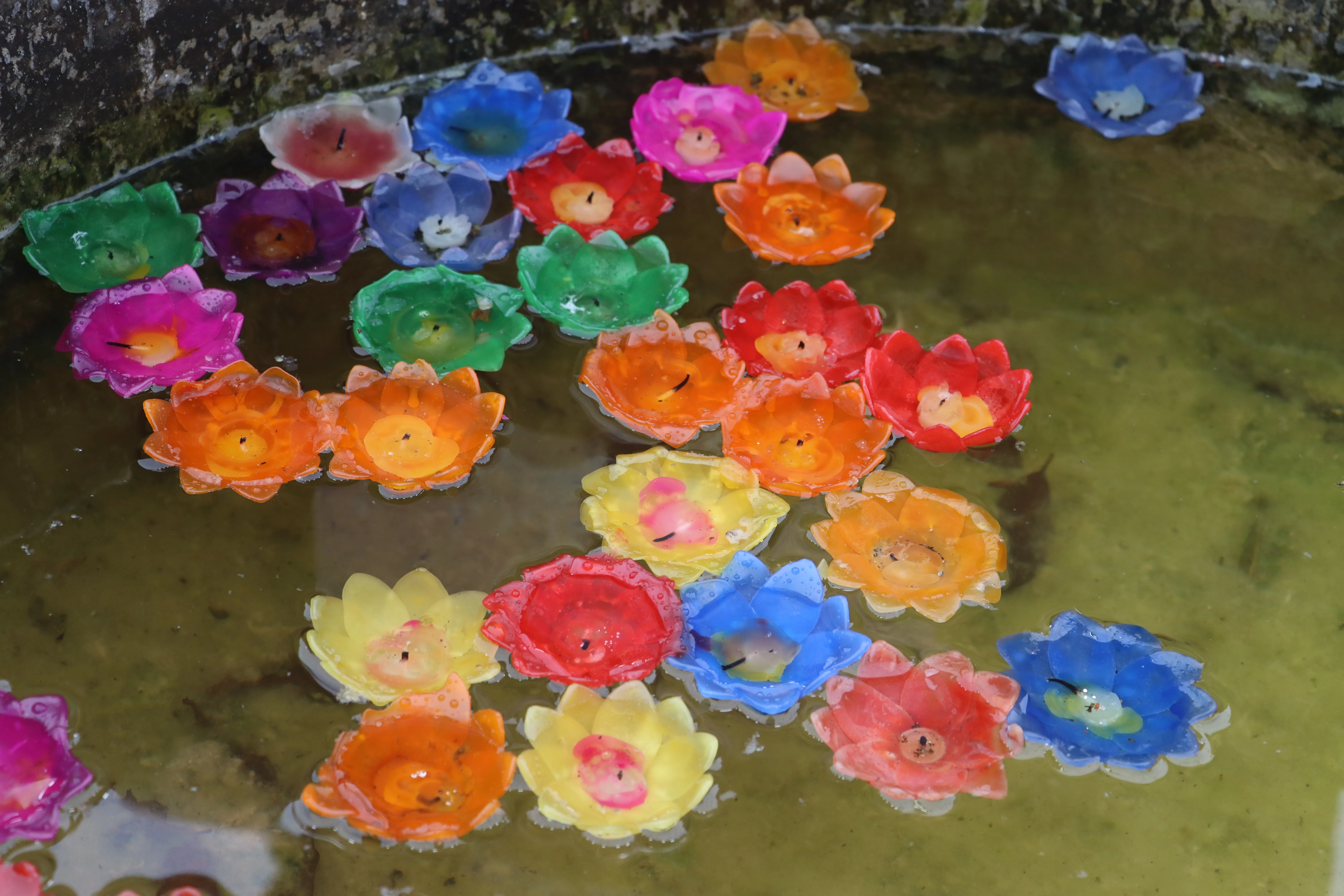 คณะรัฐศาสตร์และสังคมศาสตร์ มหาวิทยาลัยพะเยา ร่วมกิจกรรม “โมเมนต์แห่งความทรงจำ 15 ค่ำ เดือน 12” สืบสานประเพณีล้านนาและถวายเป็นพระราชกุศล