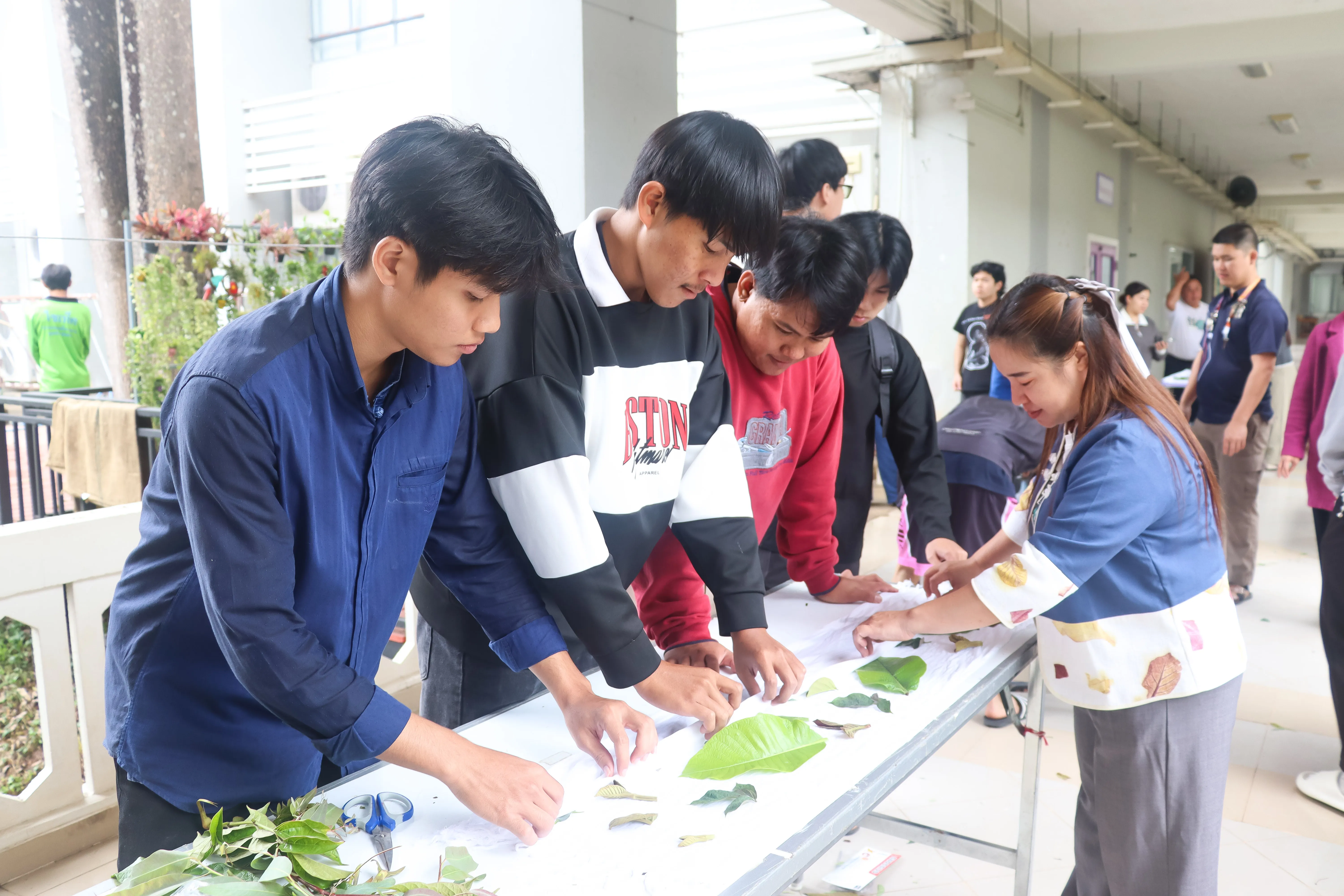 คณะรัฐศาสตร์และสังคมศาสตร์ มหาวิทยาลัยพะเยา จัดอบรมเชิงปฏิบัติการ “การทำผ้าพิมพ์รักษ์โลกลายใบคำมอกหลวง” ส่งเสริมการอนุรักษ์ทรัพยากรท้องถิ่นผ่านการเรียนรู้เชิงประสบการณ์