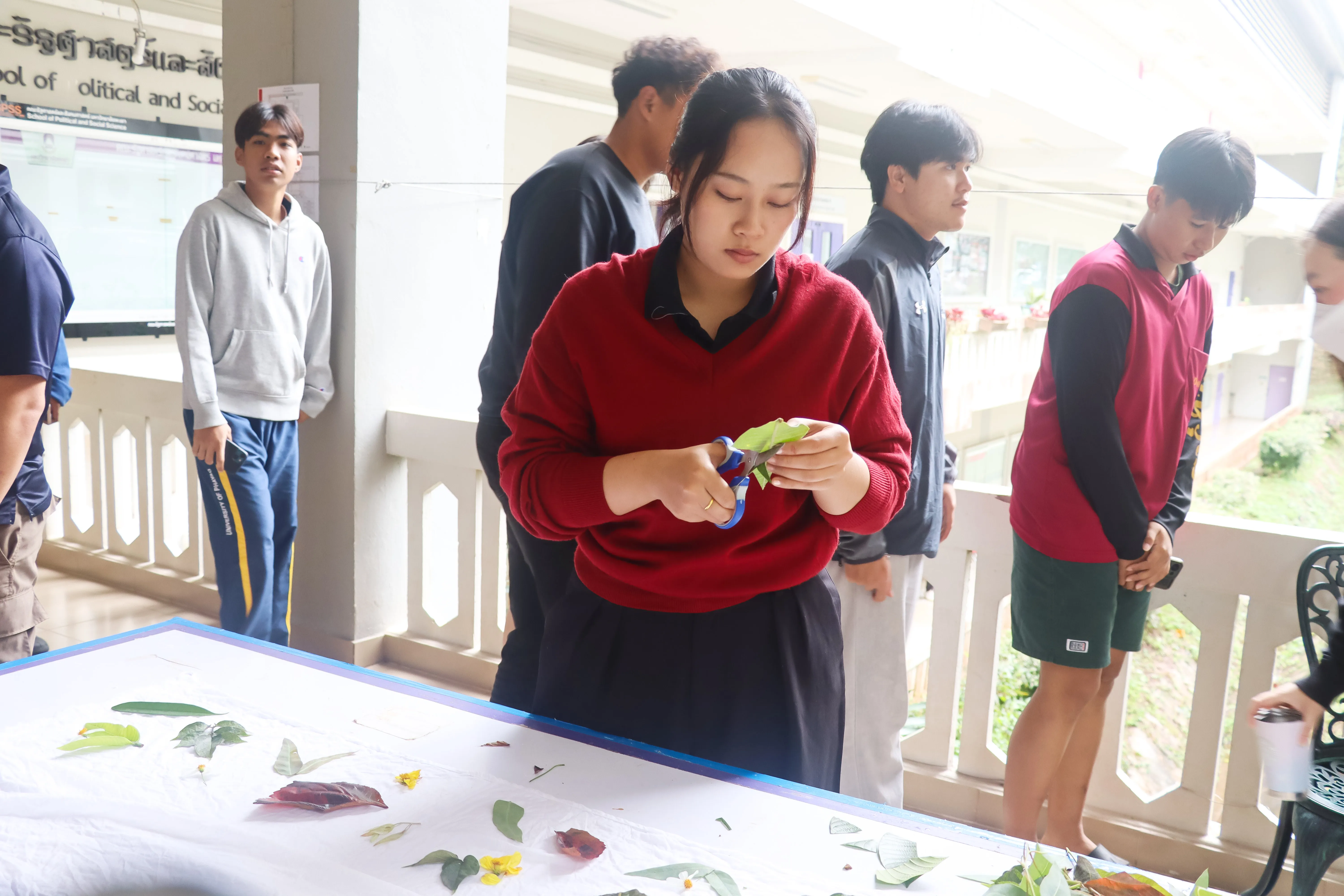 คณะรัฐศาสตร์และสังคมศาสตร์ มหาวิทยาลัยพะเยา จัดอบรมเชิงปฏิบัติการ “การทำผ้าพิมพ์รักษ์โลกลายใบคำมอกหลวง” ส่งเสริมการอนุรักษ์ทรัพยากรท้องถิ่นผ่านการเรียนรู้เชิงประสบการณ์