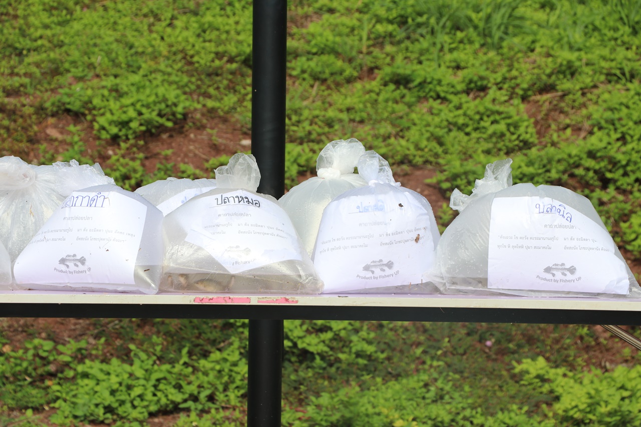 คณะรัฐศาสตร์และสังคมศาสตร์ มหาวิทยาลัยพะเยา ร่วมกิจกรรมปล่อยพันธุ์ปลาน้ำจืด เฉลิมพระเกียรติสมเด็จพระนางเจ้าสิริกิติ์ พระบรมราชินีนาถ ในรัชกาลที่ 9 เนื่องในโอกาสวันเฉลิมพระชนมพรรษา 86 พรรษา 