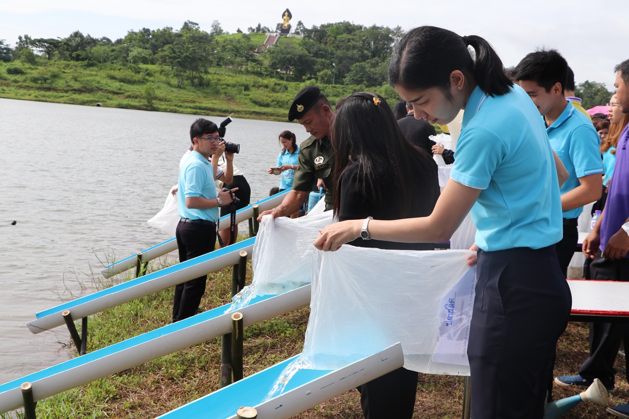 คณะรัฐศาสตร์และสังคมศาสตร์ มหาวิทยาลัยพะเยา ร่วมกิจกรรมปล่อยพันธุ์ปลาน้ำจืด เฉลิมพระเกียรติสมเด็จพระนางเจ้าสิริกิติ์ พระบรมราชินีนาถ ในรัชกาลที่ 9 เนื่องในโอกาสวันเฉลิมพระชนมพรรษา 86 พรรษา 