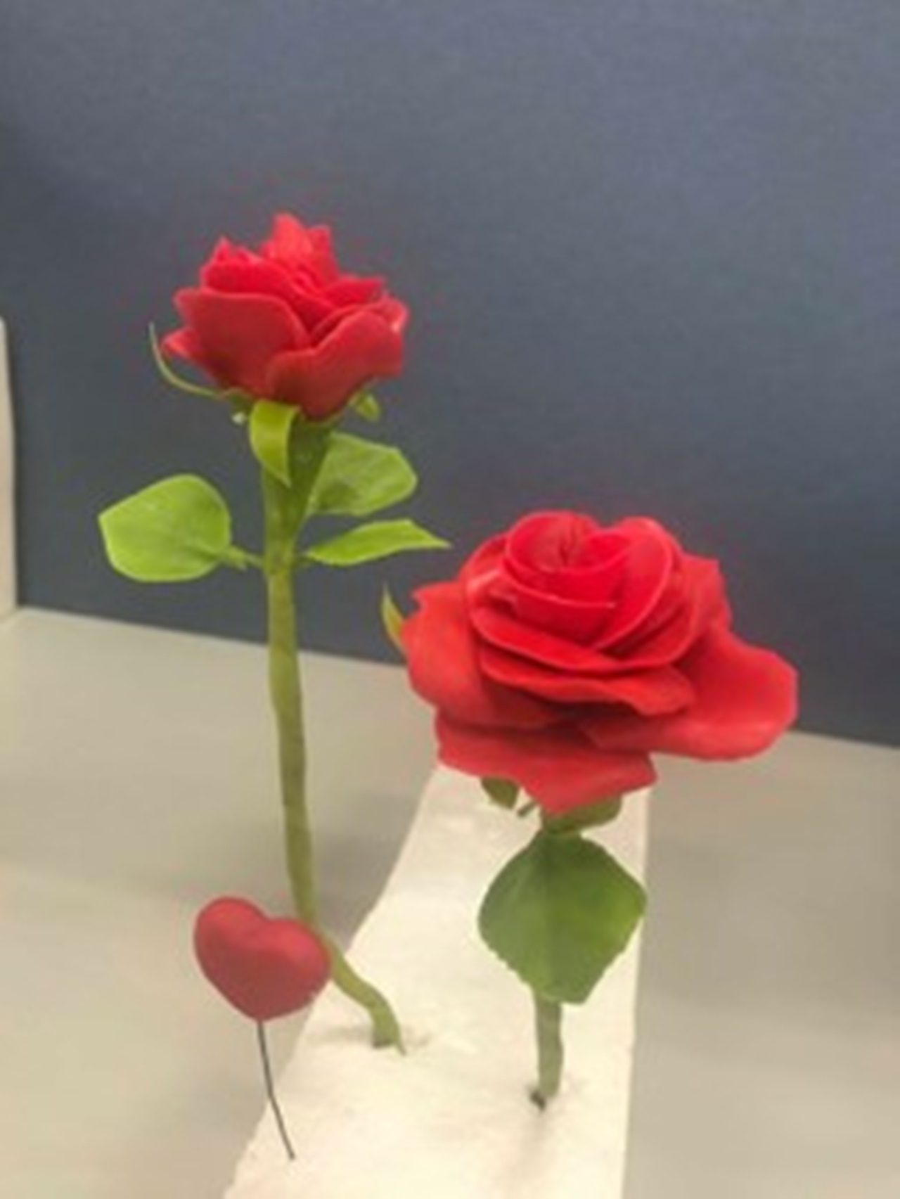 คณะรัฐศาสตร์และสังคมศาสตร์ มหาวิทยาลัยพะเยา ดำเนินโครงการภูมิปัญญานำพาชุมชนเข้มแข็ง