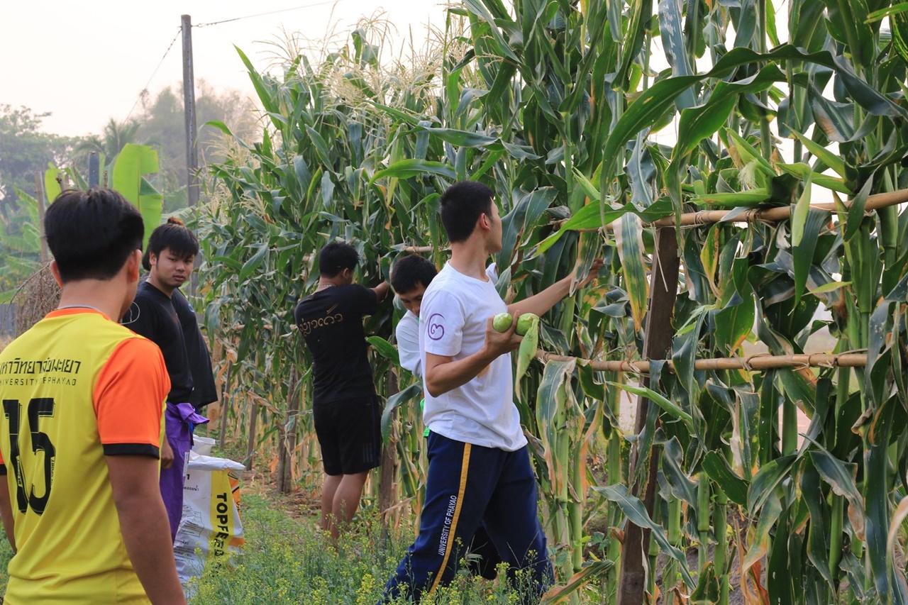 หน่วยกิจการนิสิต คณะรัฐศาสตร์และสังคมศาสตร์ มหาวิทยาลัยพะเยา   ดำเนินโครงการส่งเสริมกิจกรรมสโมสรนิสิต กิจกรรมที่ 1 “ค่ายรัฐ – พัฒ อาสา”