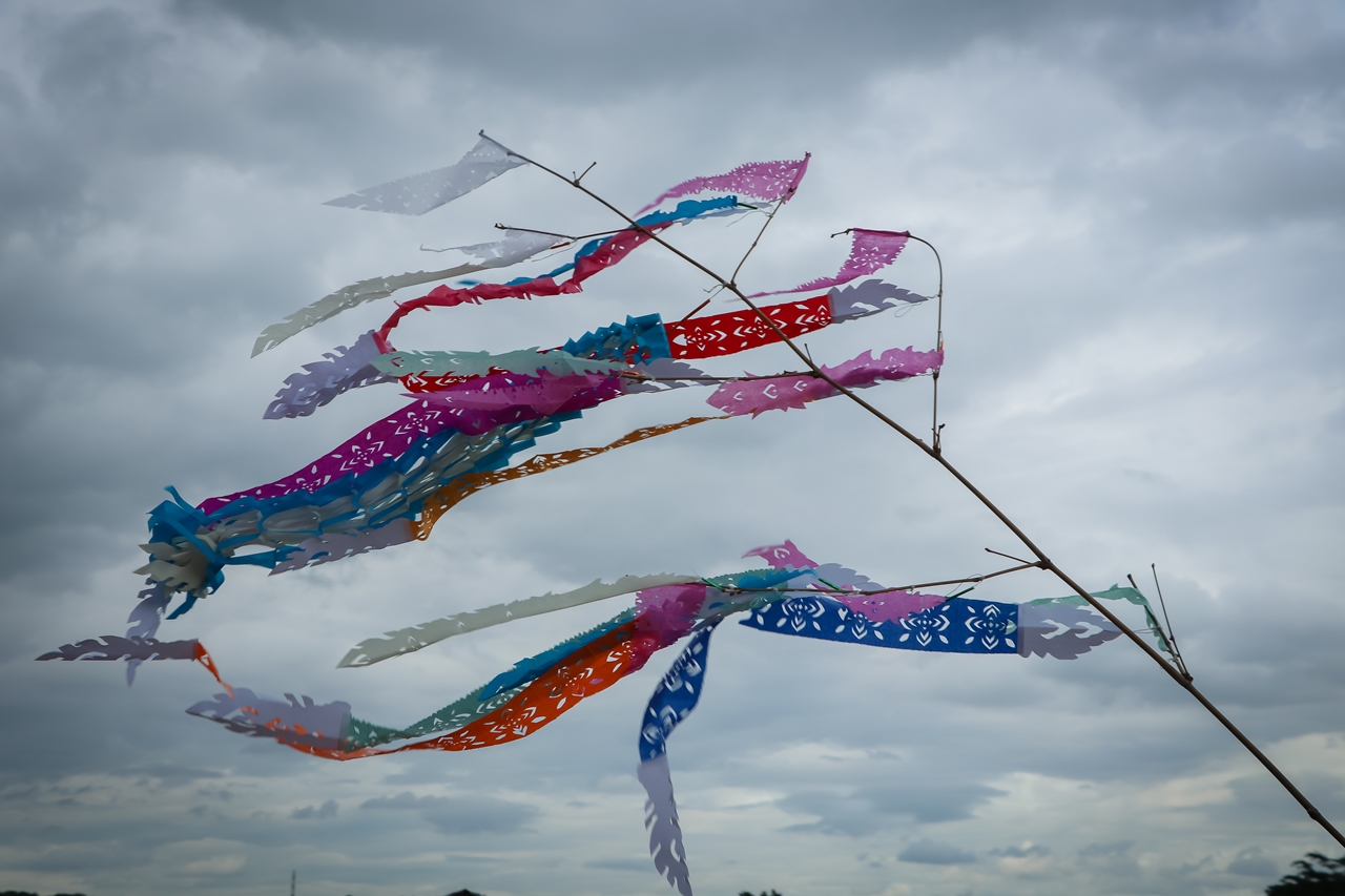 หน่วยกิจการนิสิตและทำนุบำรุงศิลปวัฒนธรรม พร้อมด้วยสโมสรนิสิต คณะรัฐศาสตร์และสังคมศาสตร์ มหาวิทยาลัยพะเยา ร่วมจัดกิจกรรม “ตานตุงหลวง บวงสรวงพระพุทธภุชคารักษ์”