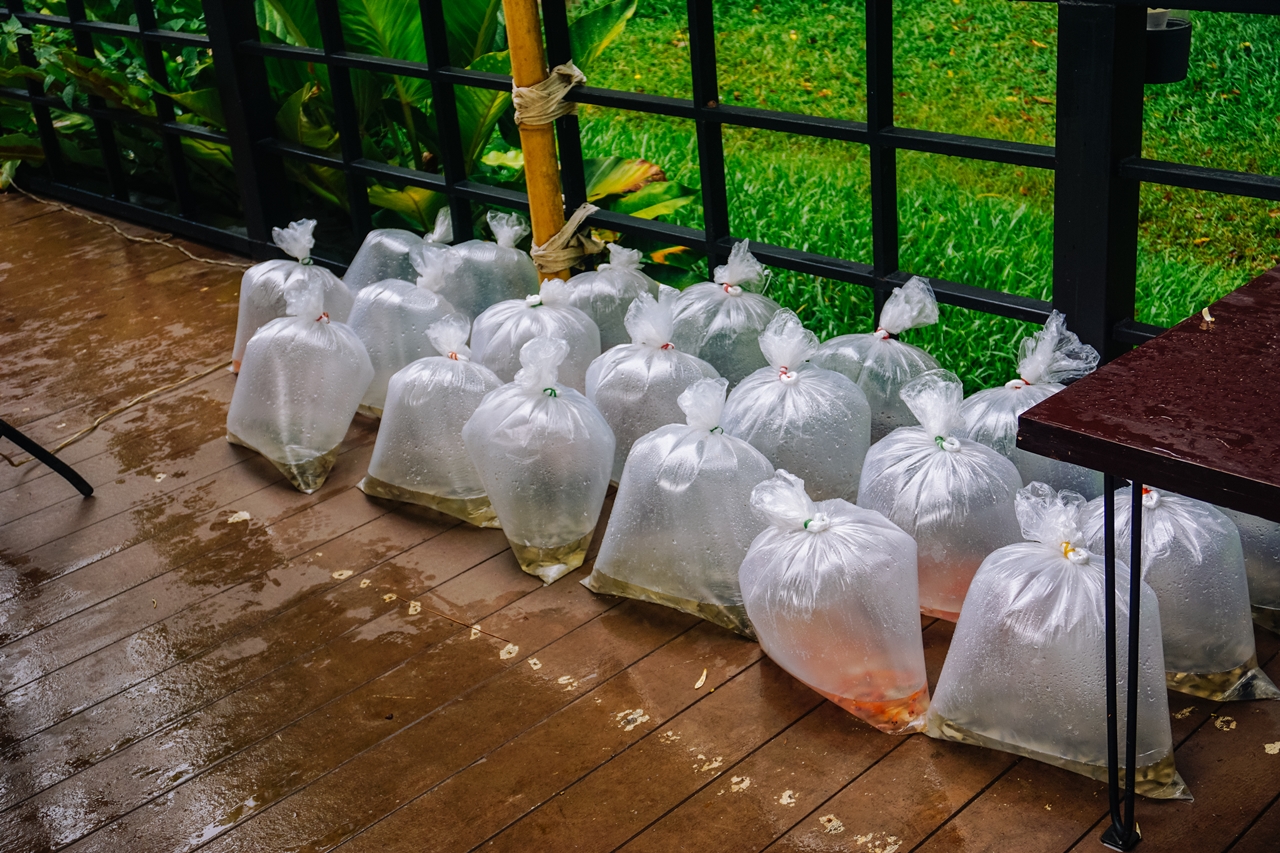 คณะรัฐศาสตร์และสังคมศาสตร์ มหาวิทยาลัยพะเยา ร่วมโครงการ สัปดาห์จิตอาสา เราทำดีด้วยหัวใจ