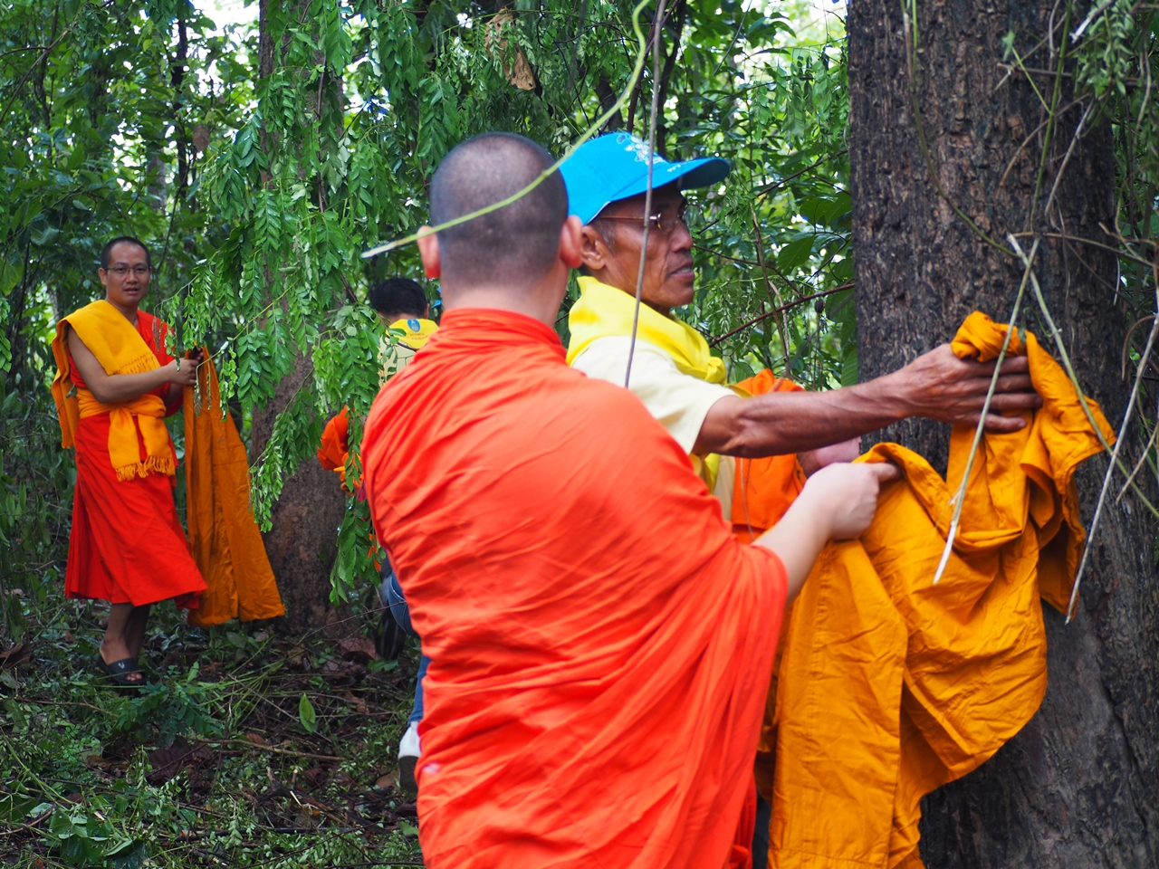 คณะรัฐศาสตร์และสังคมศาสตร์ มหาวิทยาลัยพะเยา จัดโครงการบวชต้นไม้ เพื่ออนุรักษ์ป่า อนุรักษ์น้ำ : จากแรงศรัทธาสู่การบวชป่าชุมชน