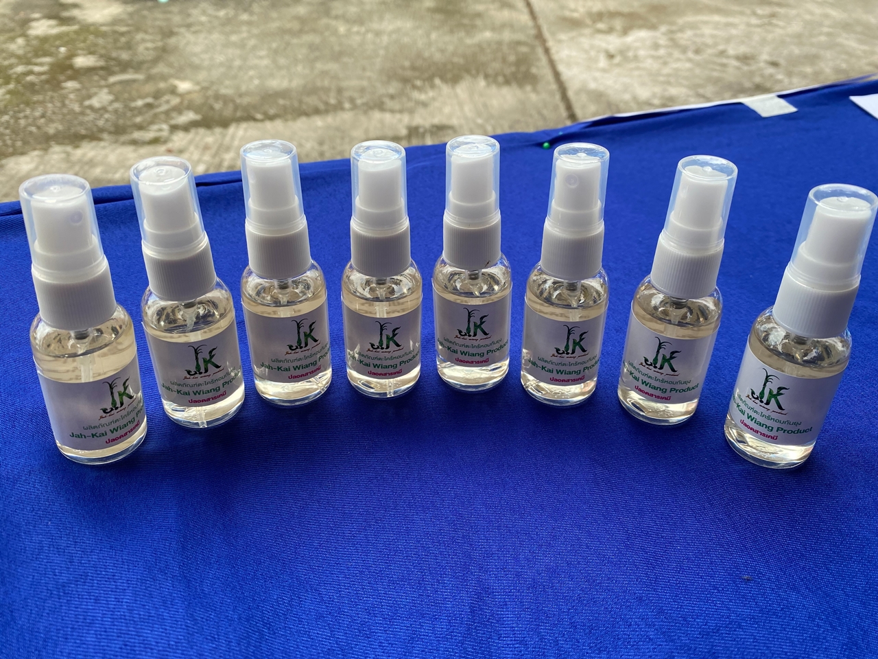 คณะรัฐศาสตร์และสังคมศาสตร์ ดำเนินโครงการ "การส่งเสริมสวัสดิการสังคมแบบบูรณาการด้วยข้อมูลองค์รวมระดับตำบล" กิจกรรมที่ 5 ตำบลเวียง