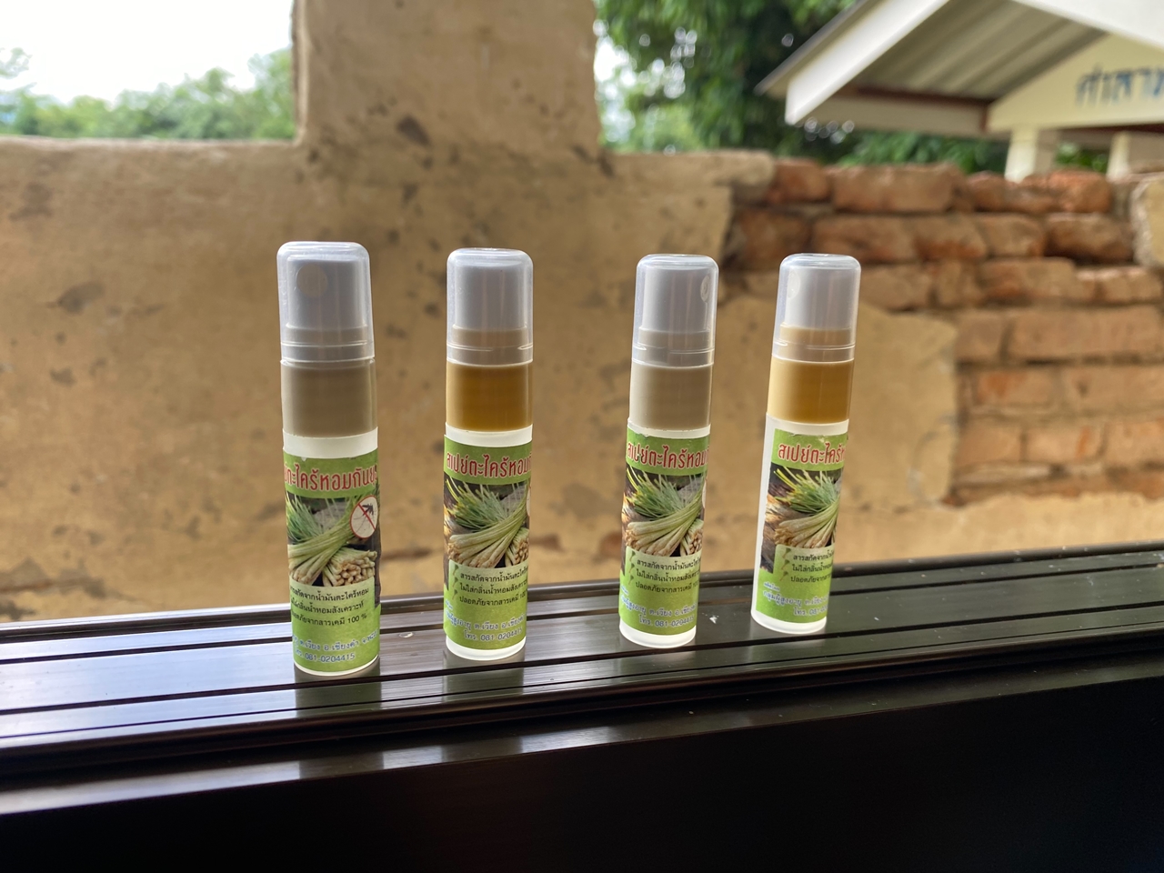 คณะรัฐศาสตร์และสังคมศาสตร์ ดำเนินโครงการ "การส่งเสริมสวัสดิการสังคมแบบบูรณาการด้วยข้อมูลองค์รวมระดับตำบล" กิจกรรมที่ 5 ตำบลเวียง