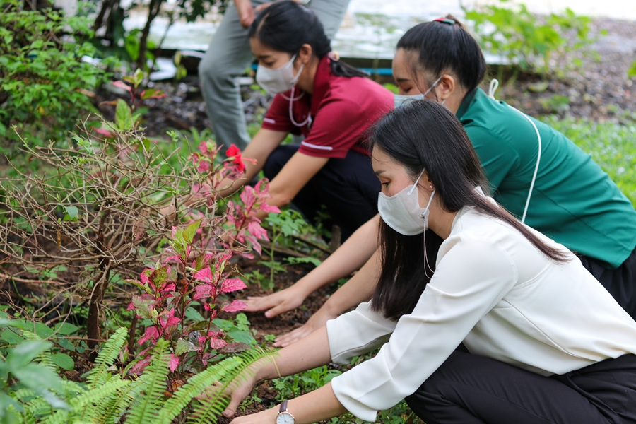Green Space Activity - คณะรัฐศาสตร์และสังคมศาสตร์ มหาวิทยาลัยพะเยา ดำเนินกิจกรรมเพิ่มพื้นที่สีเขียว ภายใต้โครงการ Green SPSS