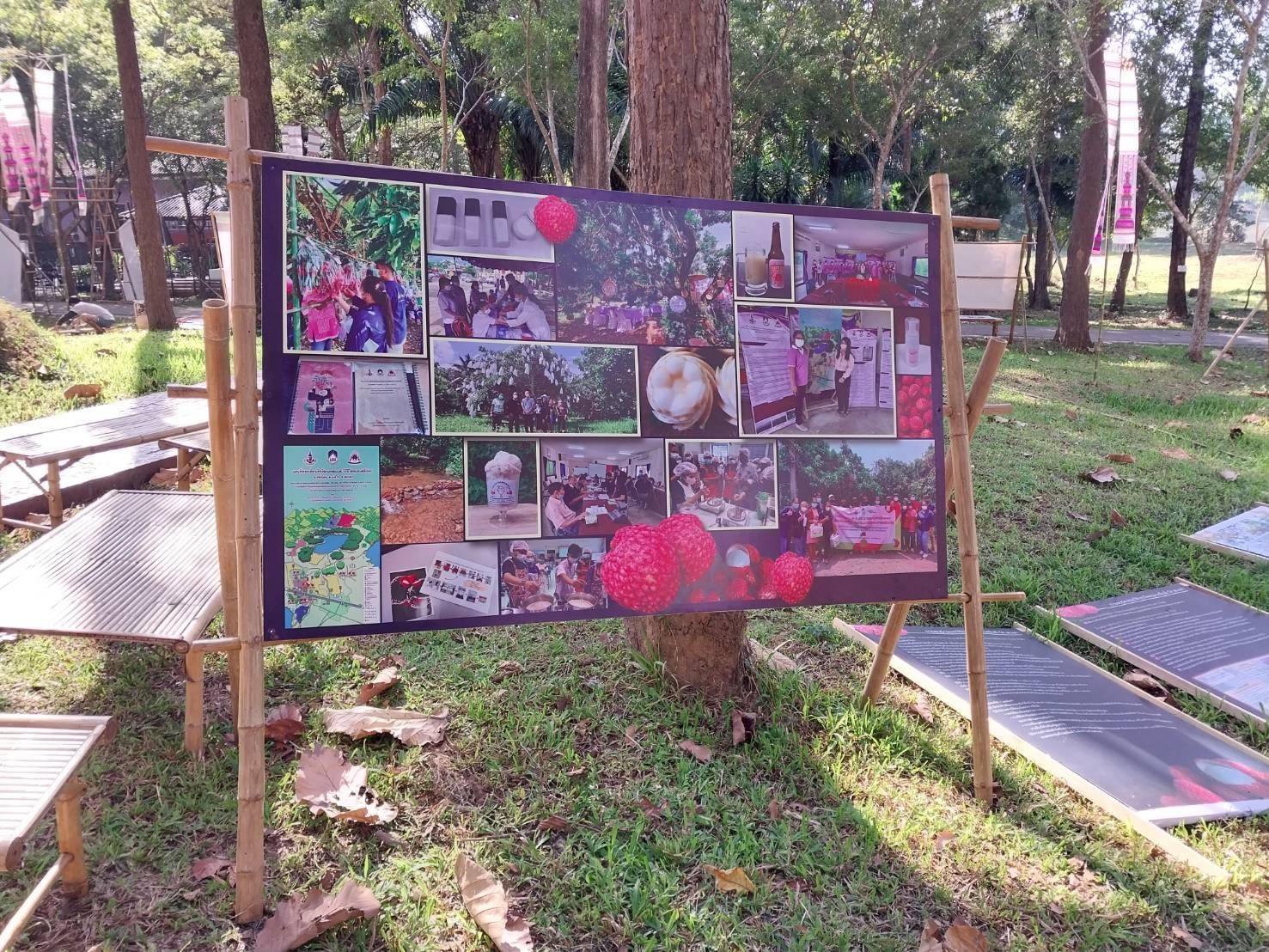 คณบดีคณะรัฐศาสตร์​และ​สังคม​ศาสตร์​ รศ.ดร.มนตรา​ พงษ์นิล​ ได้เข้าร่วมการประชุมหารือและตรวจติดตามผลการใช้จ่ายงบประมาณของมหาวิทยาลั​ยพะเยา