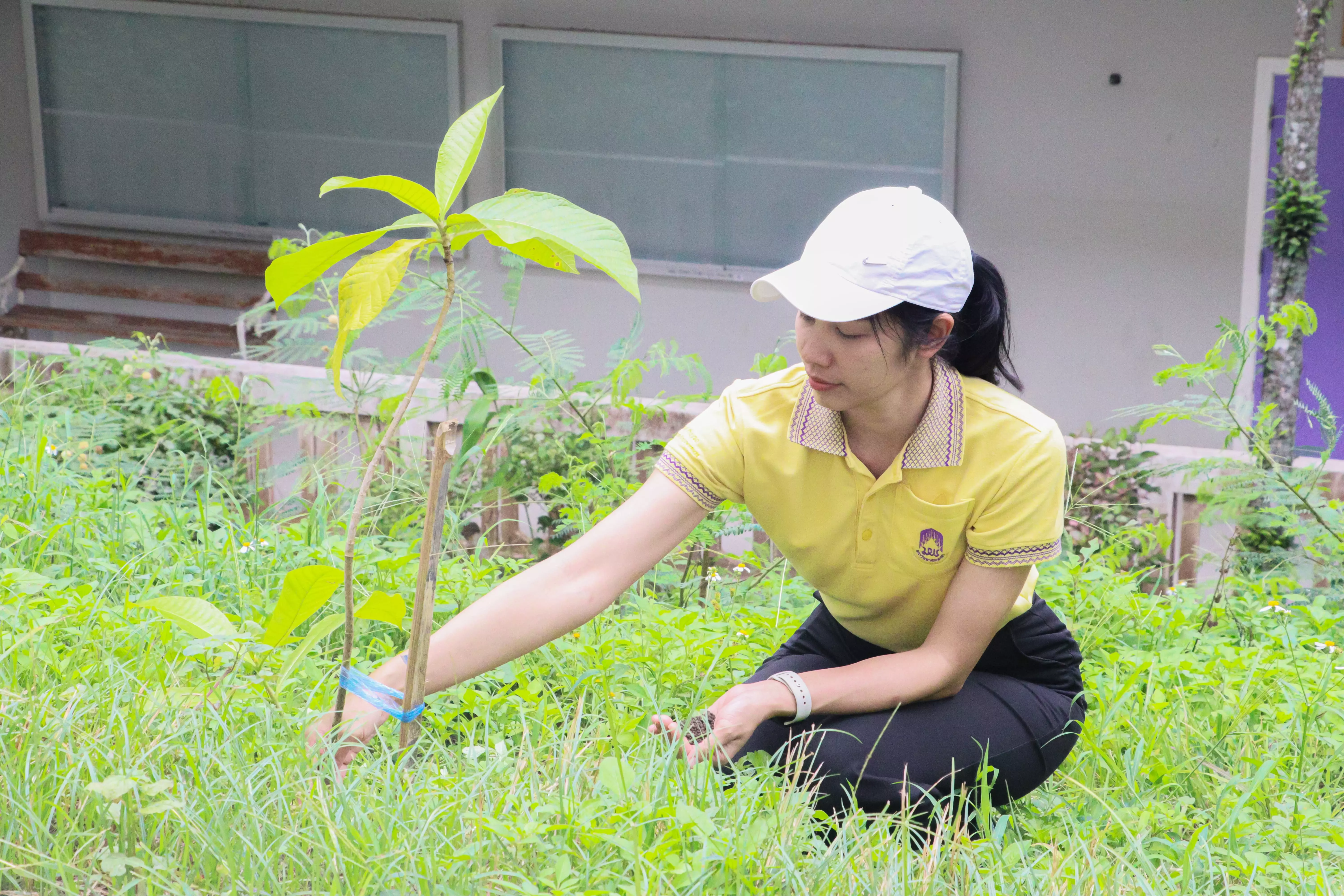 ณะรัฐศาสตร์และสังคมศาสตร์ ร่วมกิจกรรมจิตอาสาเพื่อเฉลิมพระเกียรติพระบาทสมเด็จพระเจ้าอยู่หัว เนื่องในโอกาสมหามงคลเฉลิมพระชมพรรษา 6 รอบ 72 พรรษา